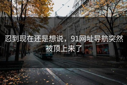 忍到现在还是想说，91网址导航突然被顶上来了